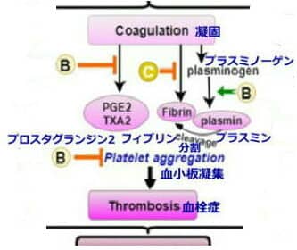 画像に alt 属性が指定されていません。ファイル名: %E3%82%B3%E3%83%AD%E3%83%8A%E5%9B%B3%E5%87%9D%E5%9B%BA-e1716173011501.jpg